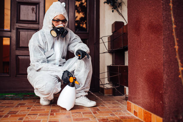 Reliable Bed Bug Control contractor in Maplewood, WA by Nex Pest Control