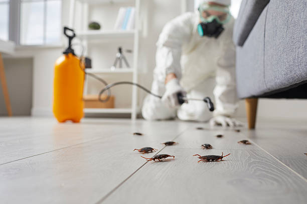 Trusted Termite Control service in Maplewood, WA - Nex Pest Control